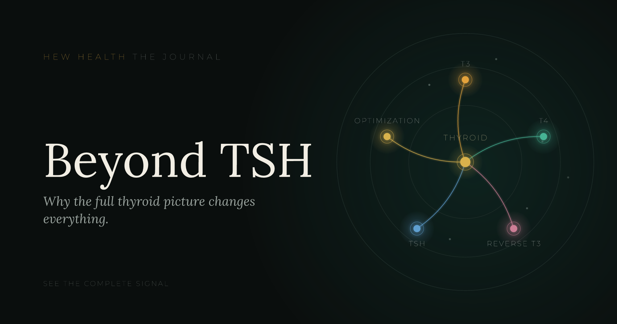Thyroid Function & Hormone Optimization: T3 and T4