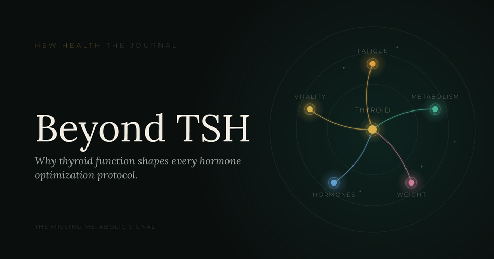 Thyroid Function in Hormone Optimization Protocols